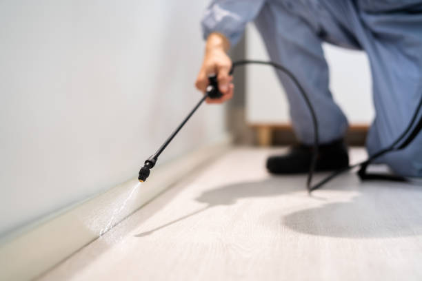 Licensed Termite Control service in Ivanhoe, TX - Nex Pest Control