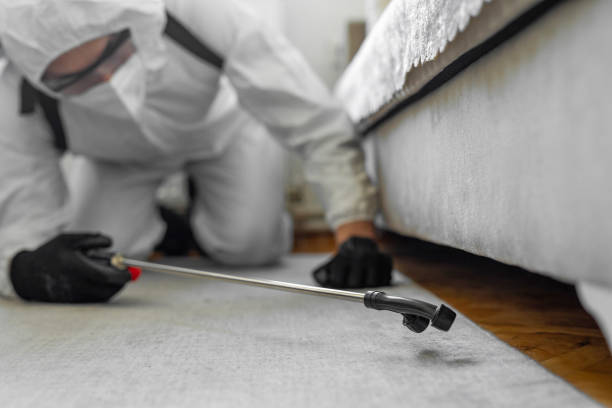 Professional Termite Control technician working in Ivanhoe, TX