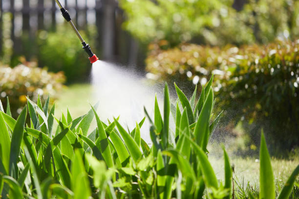 24/7 Emergency Termite Control experts in Ivanhoe, TX
